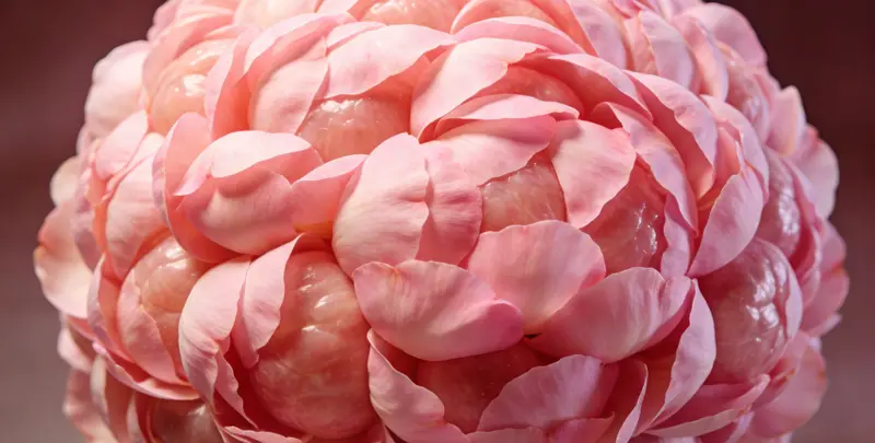 张家界BRCA1/2乳腺癌卵巢癌基因检测图片1